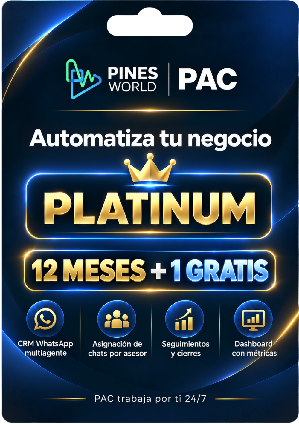 PINES PAC PLATINUM - 12 MESES + 1 GRATIS